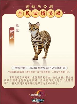 天龙八部私服有哪些